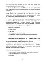 Diplomdarbs 'T/c "i" apģērbu veikala "A" reklāmas veida izvēle', 45.