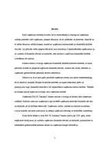 Referāts 'SIA "K Company" finansiālā stāvokļa izvērtēšana un attīstības perspektīvas', 3.