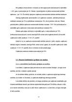 Referāts 'SIA "K Company" finansiālā stāvokļa izvērtēšana un attīstības perspektīvas', 13.