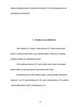 Referāts 'SIA "K Company" finansiālā stāvokļa izvērtēšana un attīstības perspektīvas', 28.