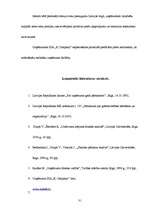 Referāts 'SIA "K Company" finansiālā stāvokļa izvērtēšana un attīstības perspektīvas', 31.