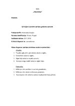 Prakses atskaite 'Aprūpes plāns', 1.