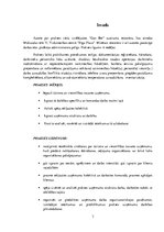 Prakses atskaite 'Prakses atskaite. Mikro, mazo un vidējo uzņēmumu vadība', 3.