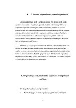 Prakses atskaite 'Prakses atskaite. Mikro, mazo un vidējo uzņēmumu vadība', 8.