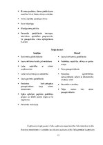 Prakses atskaite 'Prakses atskaite. Mikro, mazo un vidējo uzņēmumu vadība', 13.