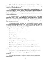 Prakses atskaite 'Prakses atskaite. Mikro, mazo un vidējo uzņēmumu vadība', 22.