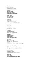 Konspekts 'Austrumzemju lirika', 4.