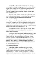 Referāts 'Neolīta mājoklis Latvijas teritorijā', 5.