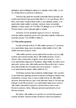 Referāts 'Neolīta mājoklis Latvijas teritorijā', 7.