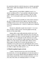 Referāts 'Neolīta mājoklis Latvijas teritorijā', 11.