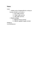 Referāts 'Neolīta mājoklis Latvijas teritorijā', 17.