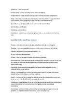 Konspekts 'Vēstures termini, kas jāzina, beidzot 9.klasi', 7.