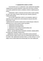 Referāts 'Uzņēmējdarbība Latgalē', 5.