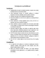 Referāts 'SIA "Čilija Pizza"', 17.