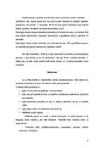 Referāts 'Personas analīze', 6.