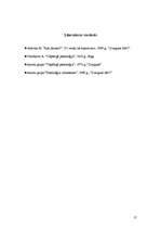 Referāts 'Personas analīze', 17.