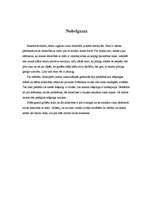 Referāts 'Mātes tēls literatūrā', 15.