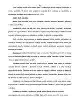 Referāts 'Sociālā darba vadības modelis Ventspils bērnu namā', 33.