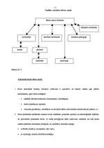 Referāts 'Sociālā darba vadības modelis Ventspils bērnu namā', 40.