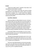 Konspekts 'Printeri', 2.