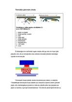 Konspekts 'Printeri', 16.