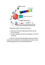 Konspekts 'Printeri', 18.