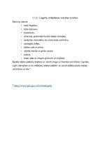 Referāts 'Cigarešu un e-cigarešu atkarības ietekme uz veselību', 8.