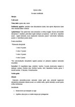 Konspekts 'Sporta svētki - pavasara iestāšanās', 1.