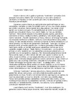 Eseja 'Darbs par Albēra Kamī romānu “Svešinieks”', 1.