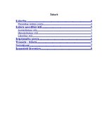 Konspekts 'Līderība. Treneris kā līderis basketbola komandā', 2.