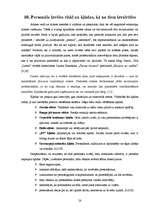 Referāts 'Personāla atlase', 28.