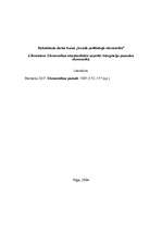 Konspekts 'Ekonomikas starptautiskie aspekti. Integrācija pasaules ekonomikā', 1.