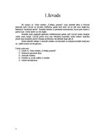 Referāts 'A.Grīns "Dvēseļu putenis"', 3.