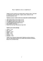 Konspekts 'Veģetārais uzturs', 4.