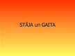 Prezentācija 'Stāja un gaita', 2.