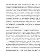 Referāts 'Pilsētas analīze. Sanktpēterburga', 3.