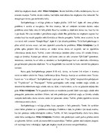 Referāts 'Pilsētas analīze. Sanktpēterburga', 5.