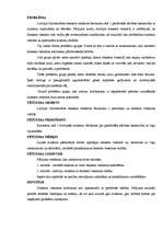 Referāts 'Pētījums vadības socioloģijā', 1.