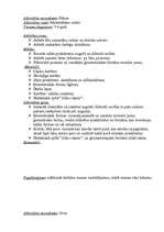 Prakses atskaite 'Pedagoģiskās prakses mape pa centriem', 9.