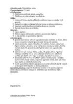 Prakses atskaite 'Pedagoģiskās prakses mape pa centriem', 11.