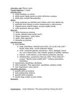 Prakses atskaite 'Pedagoģiskās prakses mape pa centriem', 13.