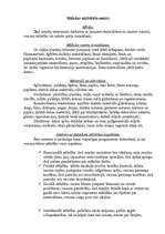 Prakses atskaite 'Pedagoģiskās prakses mape pa centriem', 15.