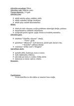 Prakses atskaite 'Pedagoģiskās prakses mape pa centriem', 21.