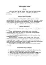 Prakses atskaite 'Pedagoģiskās prakses mape pa centriem', 22.