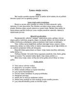 Prakses atskaite 'Pedagoģiskās prakses mape pa centriem', 29.