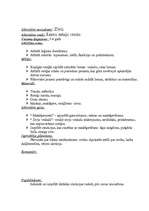 Prakses atskaite 'Pedagoģiskās prakses mape pa centriem', 32.