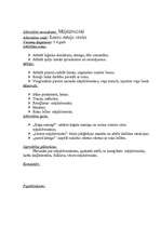 Prakses atskaite 'Pedagoģiskās prakses mape pa centriem', 33.