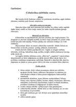 Prakses atskaite 'Pedagoģiskās prakses mape pa centriem', 36.