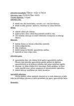 Prakses atskaite 'Pedagoģiskās prakses mape pa centriem', 37.