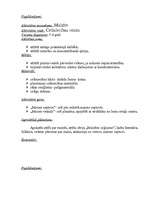 Prakses atskaite 'Pedagoģiskās prakses mape pa centriem', 38.